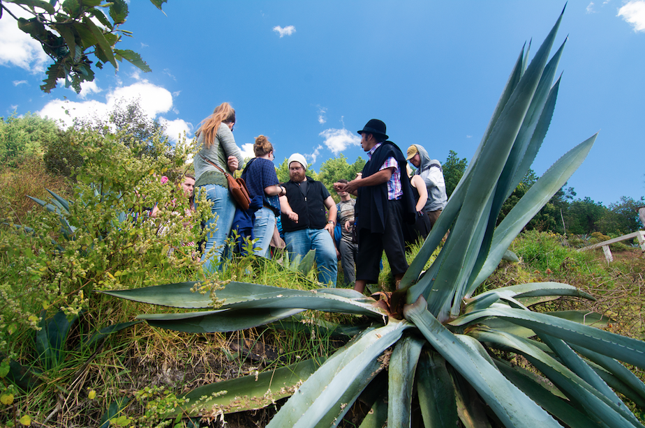 Captura de Pantalla 2022-04-05 a la(s) 17.30.48