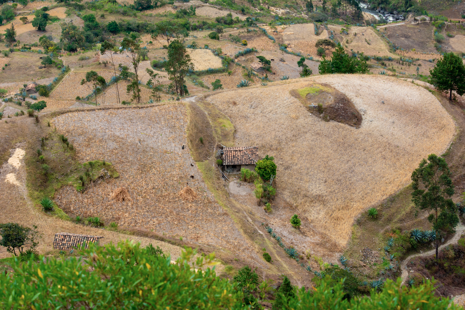 Captura de Pantalla 2022-04-05 a la(s) 17.31.03