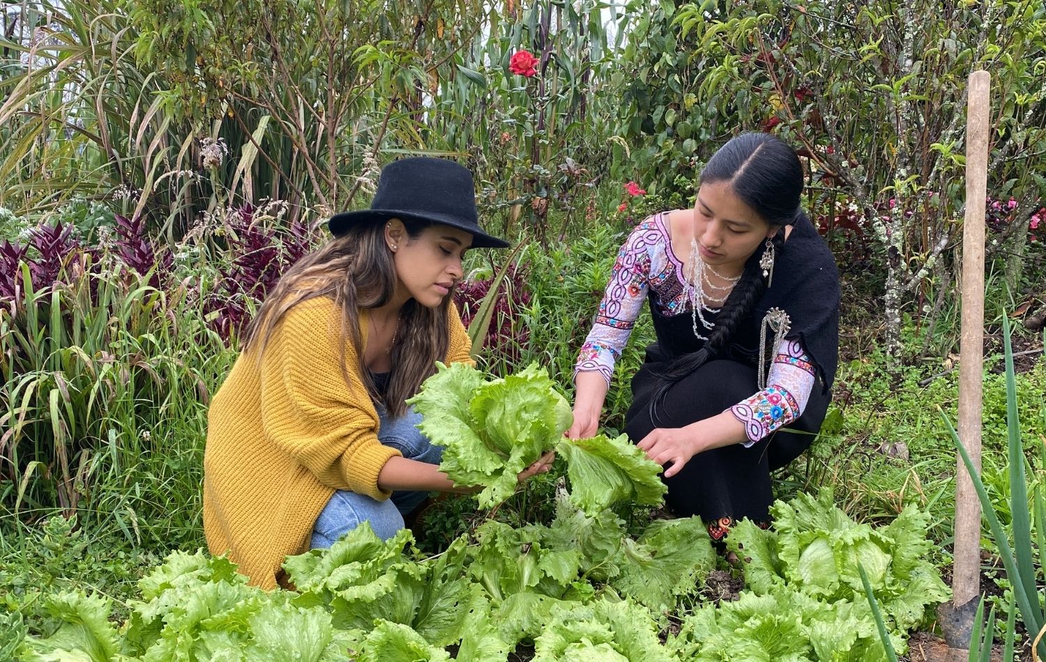 HUERTA ÑAMARIN 1