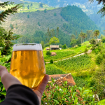 ILINCHO CERVEZA