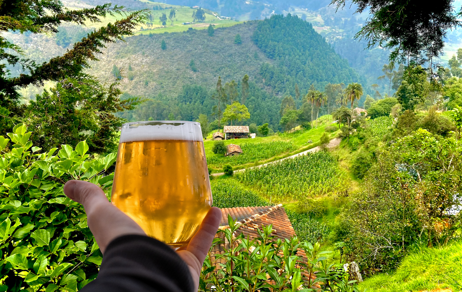ILINCHO CERVEZA