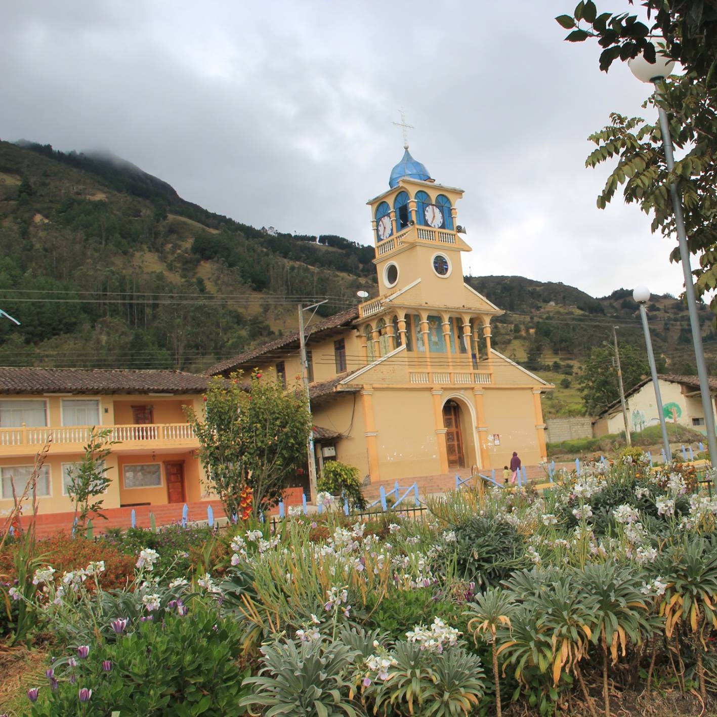 selva alegre